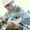 Best of Taj Mahal