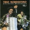 Grandes sucessos  - volume I