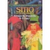 Vários - Sítio Do Pica Pau Amarelo - O Poço Do Visconde E O Saci