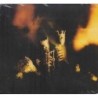 Pearl Jam - Riot Act