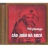 Luiz Gonzaga - São João Na Roça