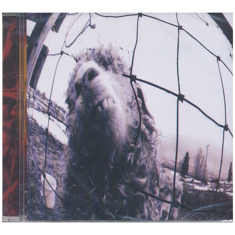 Pearl Jam - Vs.