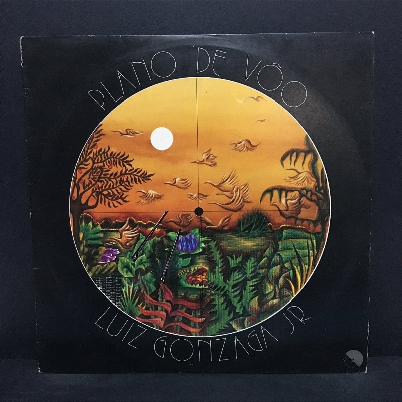 Lp Luiz Gonzaga Júnior - plano De Voo