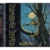 Iron Maiden - Fear Of The Dark