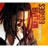 Walmir Borges - Sala De Música
