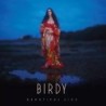 Birdy - Beautiful Lies