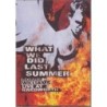 ROBBIE WILLIAMS - WHAT WE DID LAST SUMMER (KNEBWORTH LIVE DVD) [DVD DUPLO]