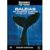 Baleias  Os Maiores Animais Vivos da Terra